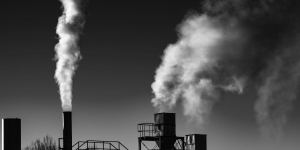 Delitos Societarios Pozorrubielos de la Mancha · Delitos Contra el Medioambiente / Contaminación